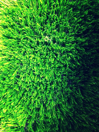 The Other Man’s Grass.