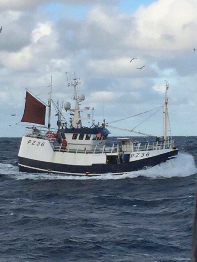 Buy fresh fish online from cornwall delivered to your home in 24 hrs