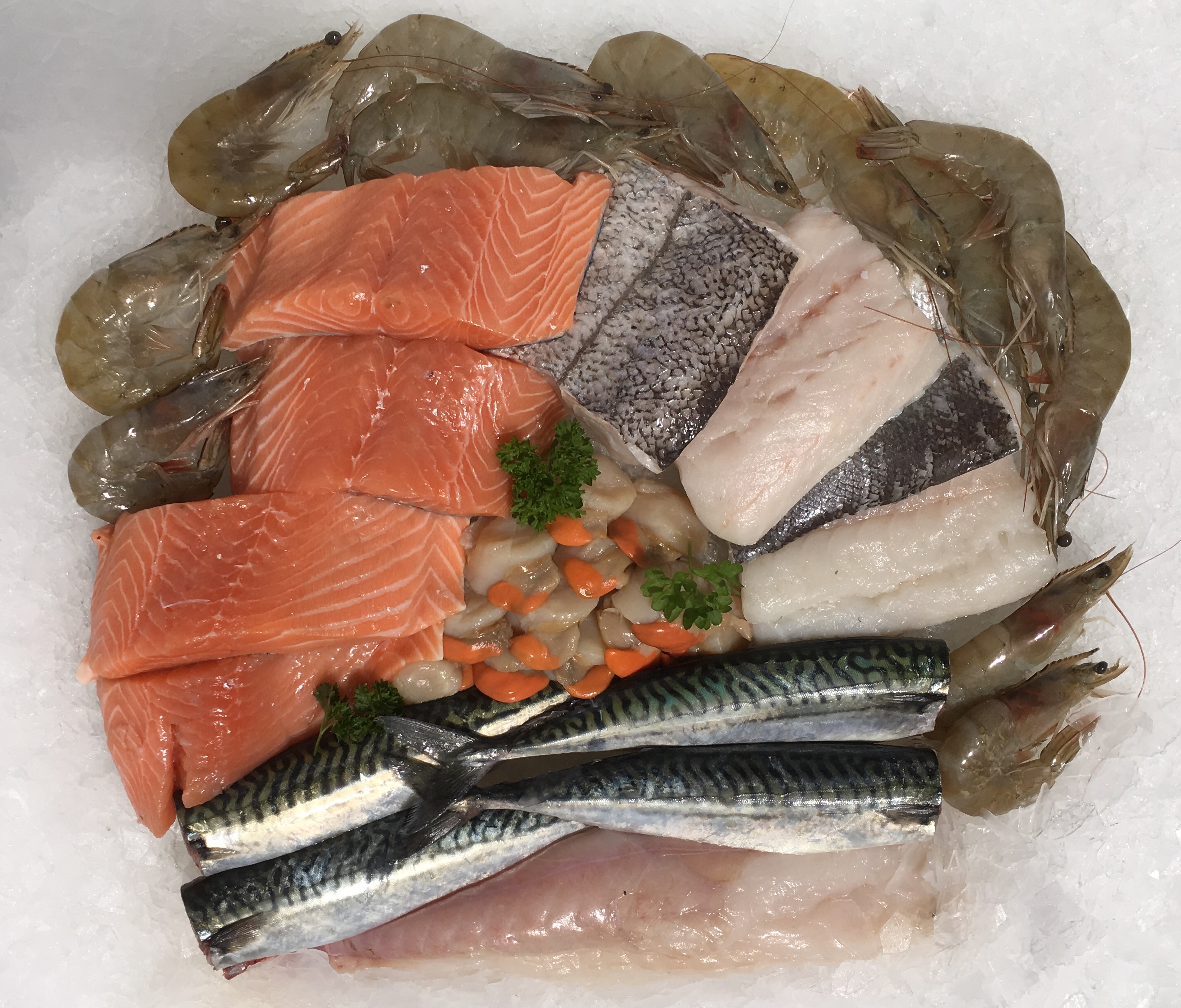 Buy fresh fish online from cornwall delivered to your home in 24 hrs