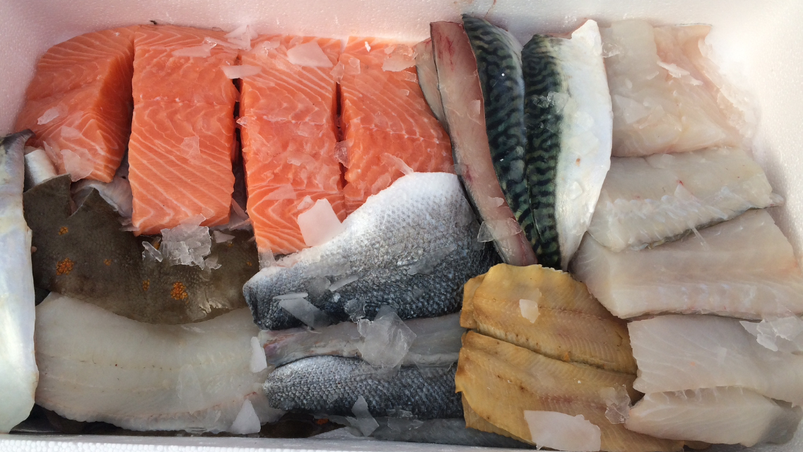 Buy fresh fish online from cornwall delivered to your home in 24 hrs