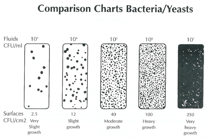 Bacteria Dip Slide Chart