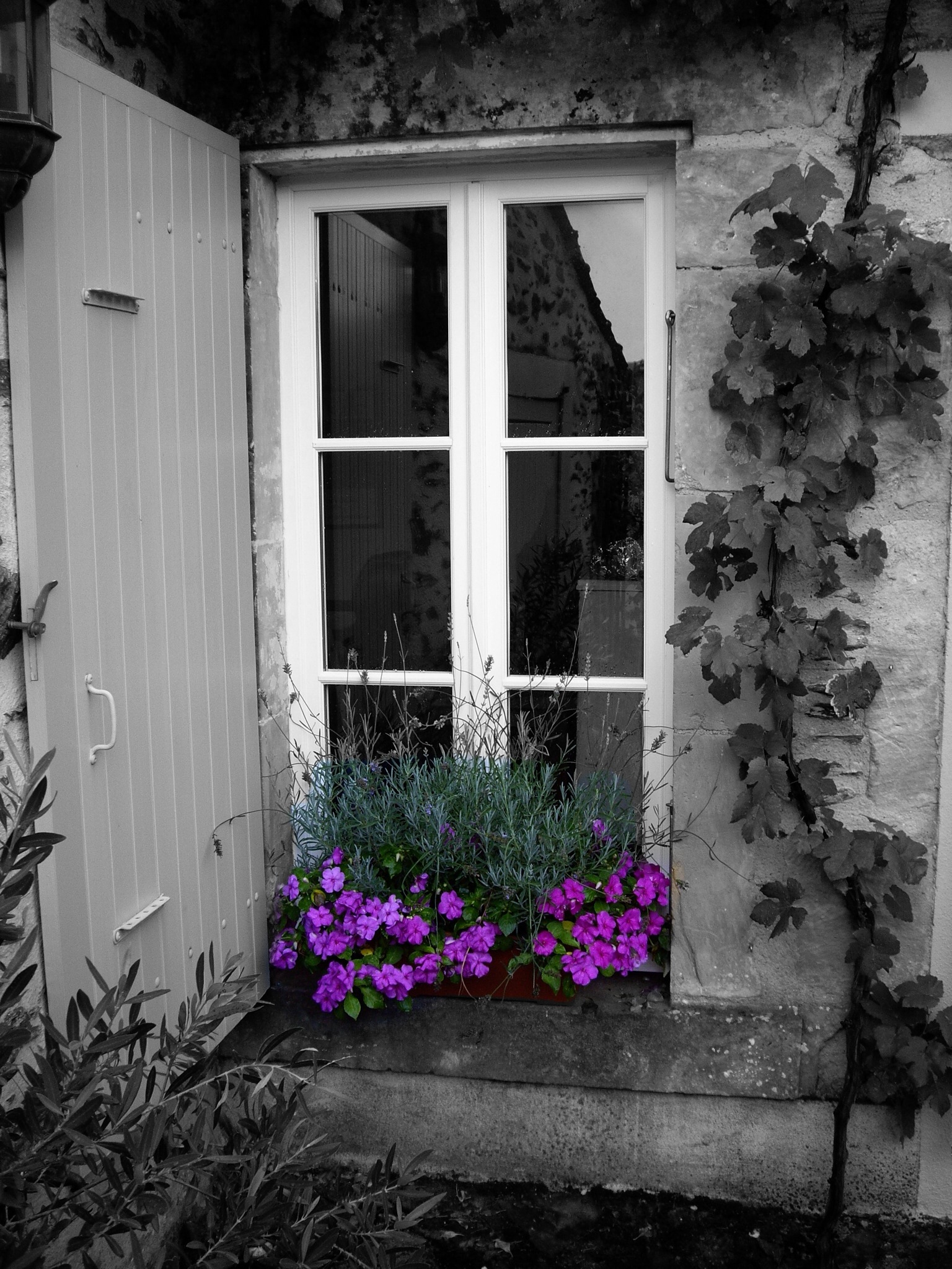 A colour splash of the window of our Gite in central France