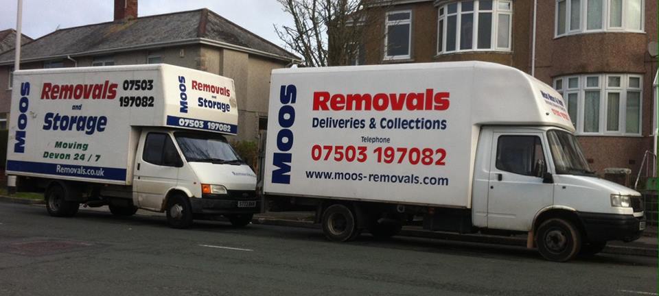 Moos removal company