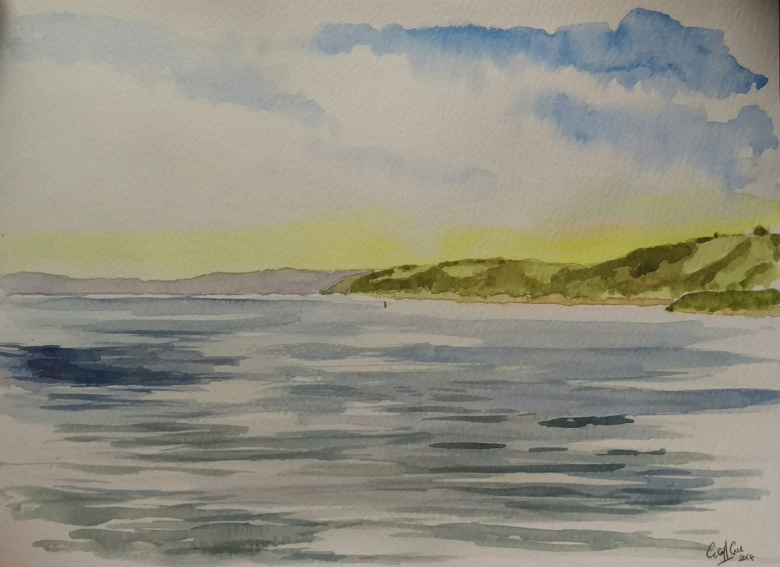 Watercolour  Unframed  Picture size - 12"x8"  Price - £20