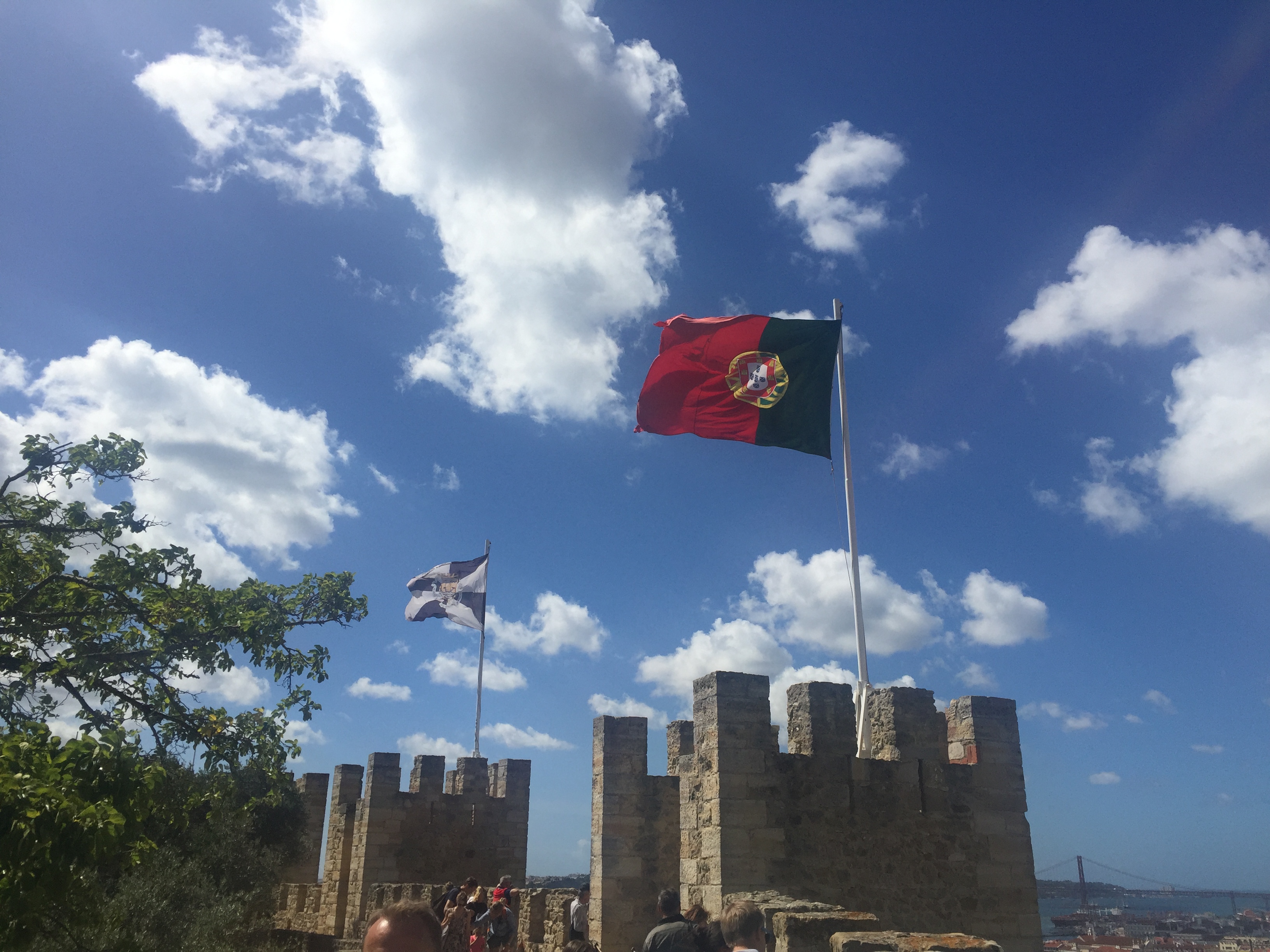 casteloflagsjpg