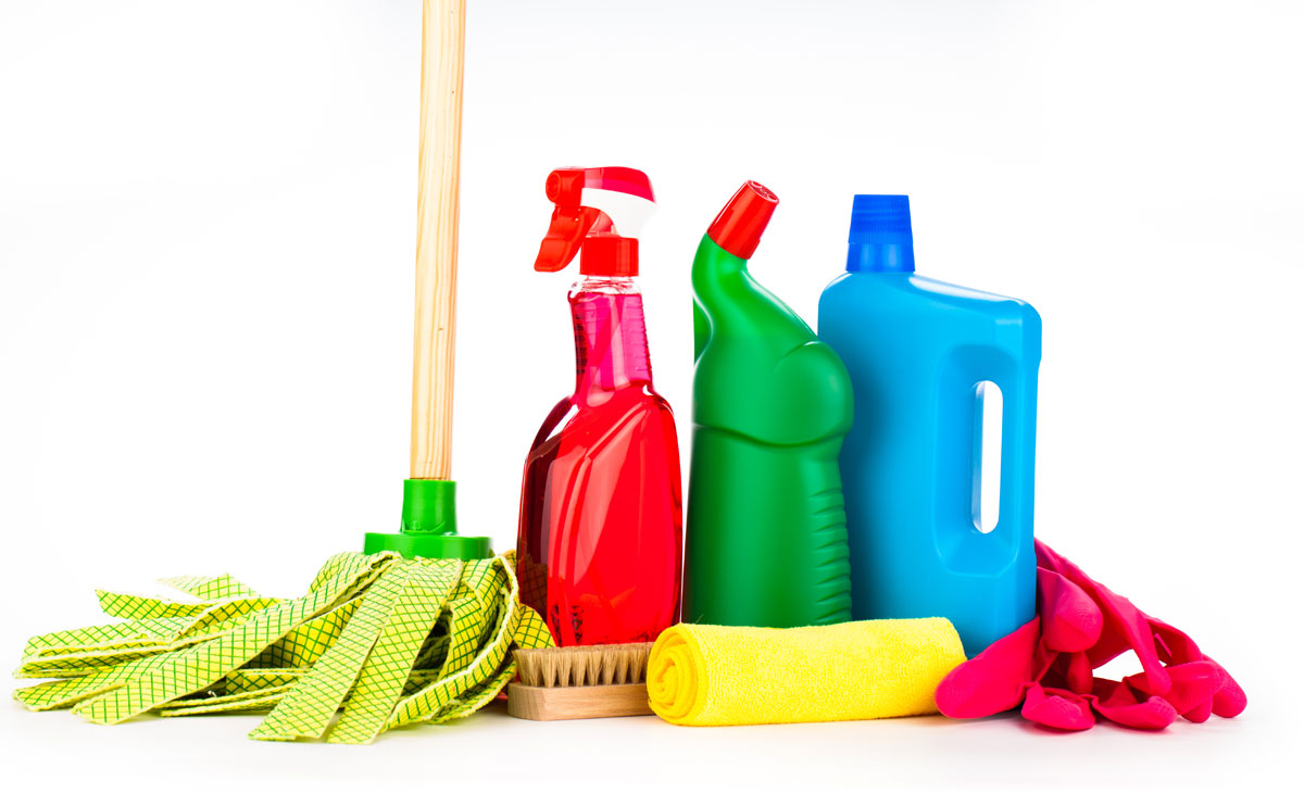 domestic cleaning agency