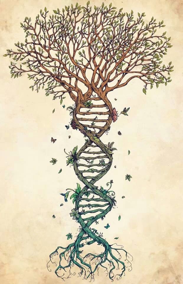 treeoflifejpg