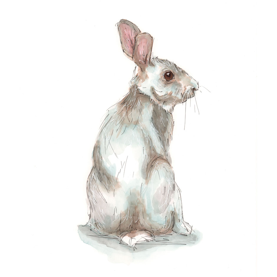 A3 Rabbit Watercolour Pencil & Ink Illustration