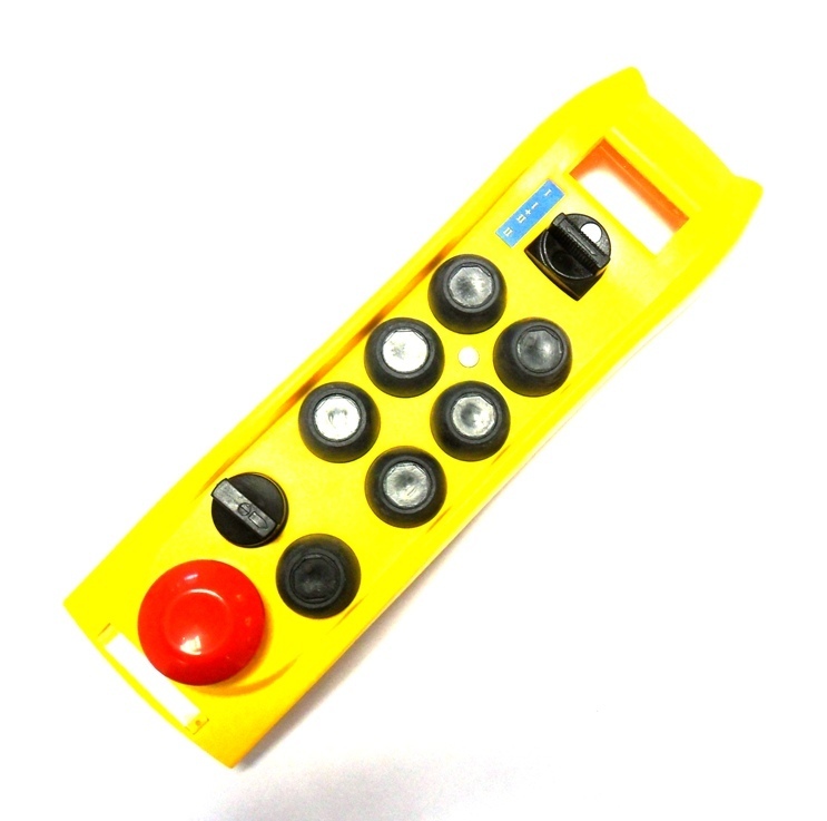 Ikusi remote controls