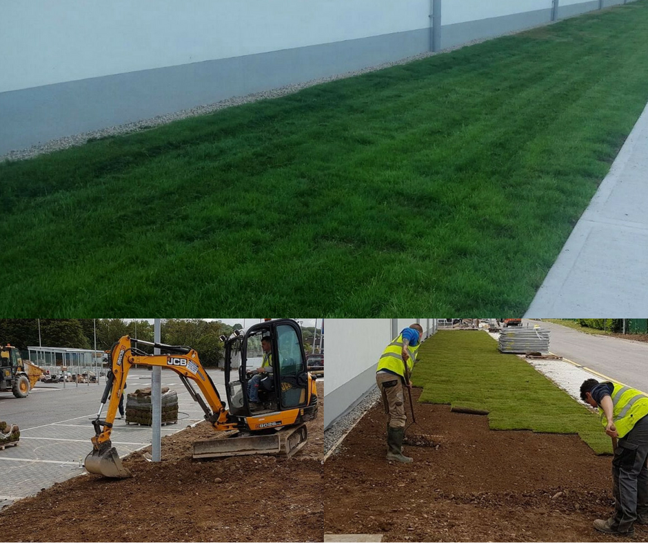 Laying Turf Grass