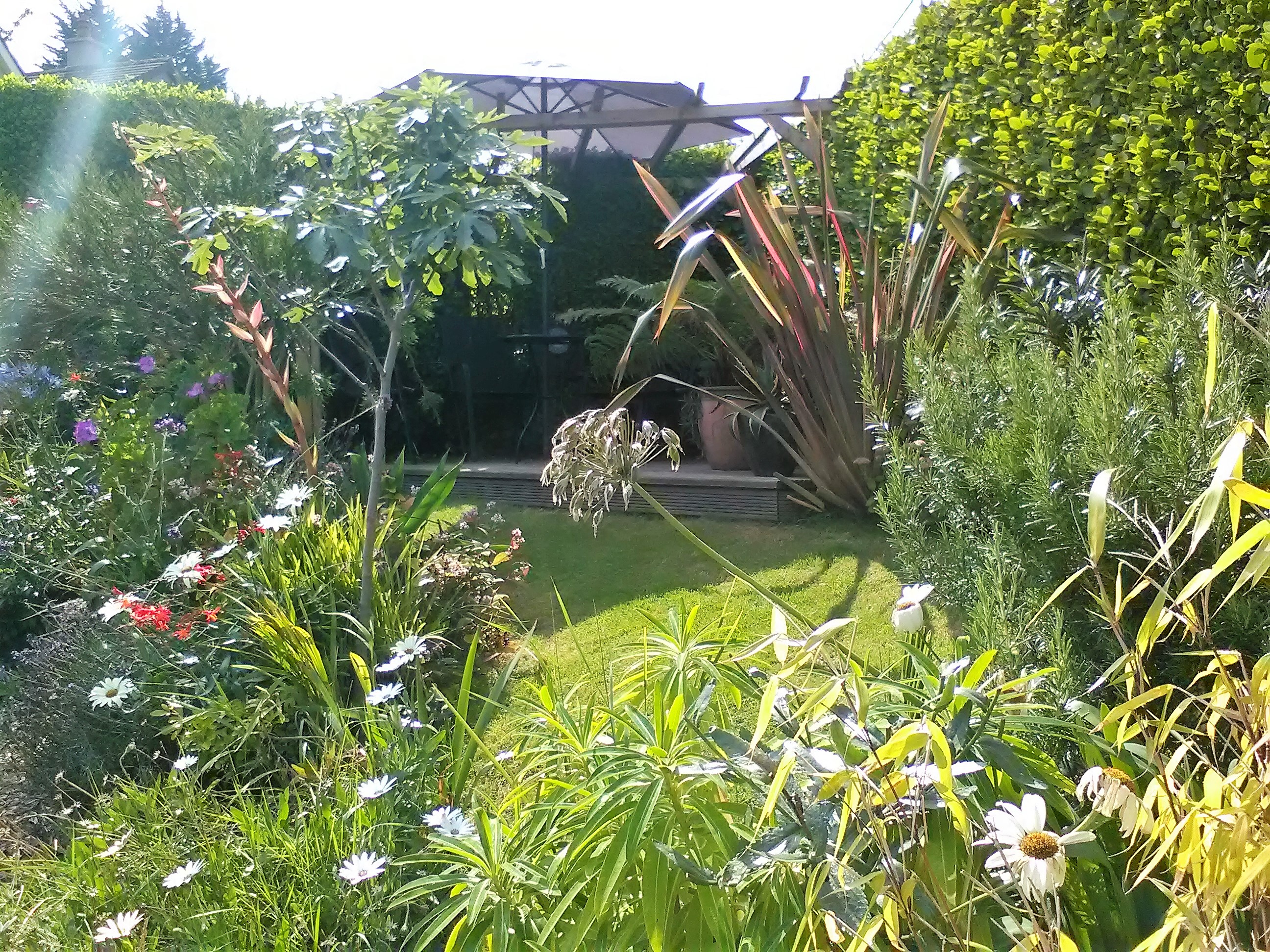 Dalkey Apartment Front Deck with Sea View