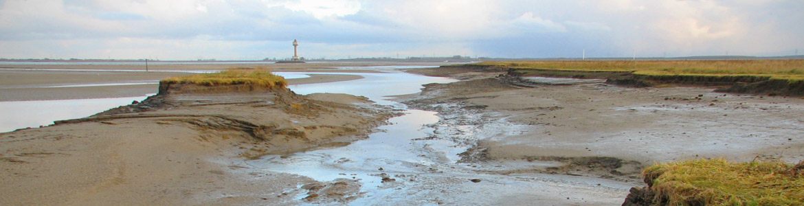 topimg-de-bodemjpg