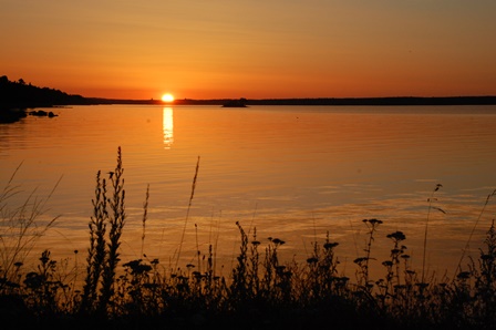 Bildbeskrivning