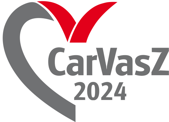 CarVasZ logo