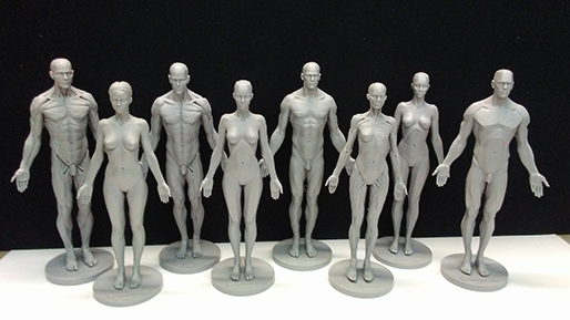 3D anatomical figures ed.jpg