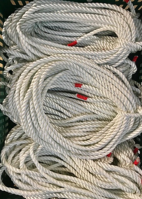 3m lengths of rope.jpg