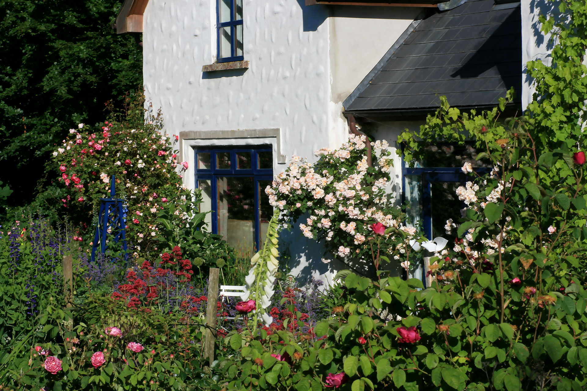 The garden in bloom, at Dunmore Country School