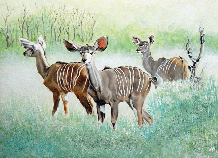 Completed painting Kudu 150 resjpg