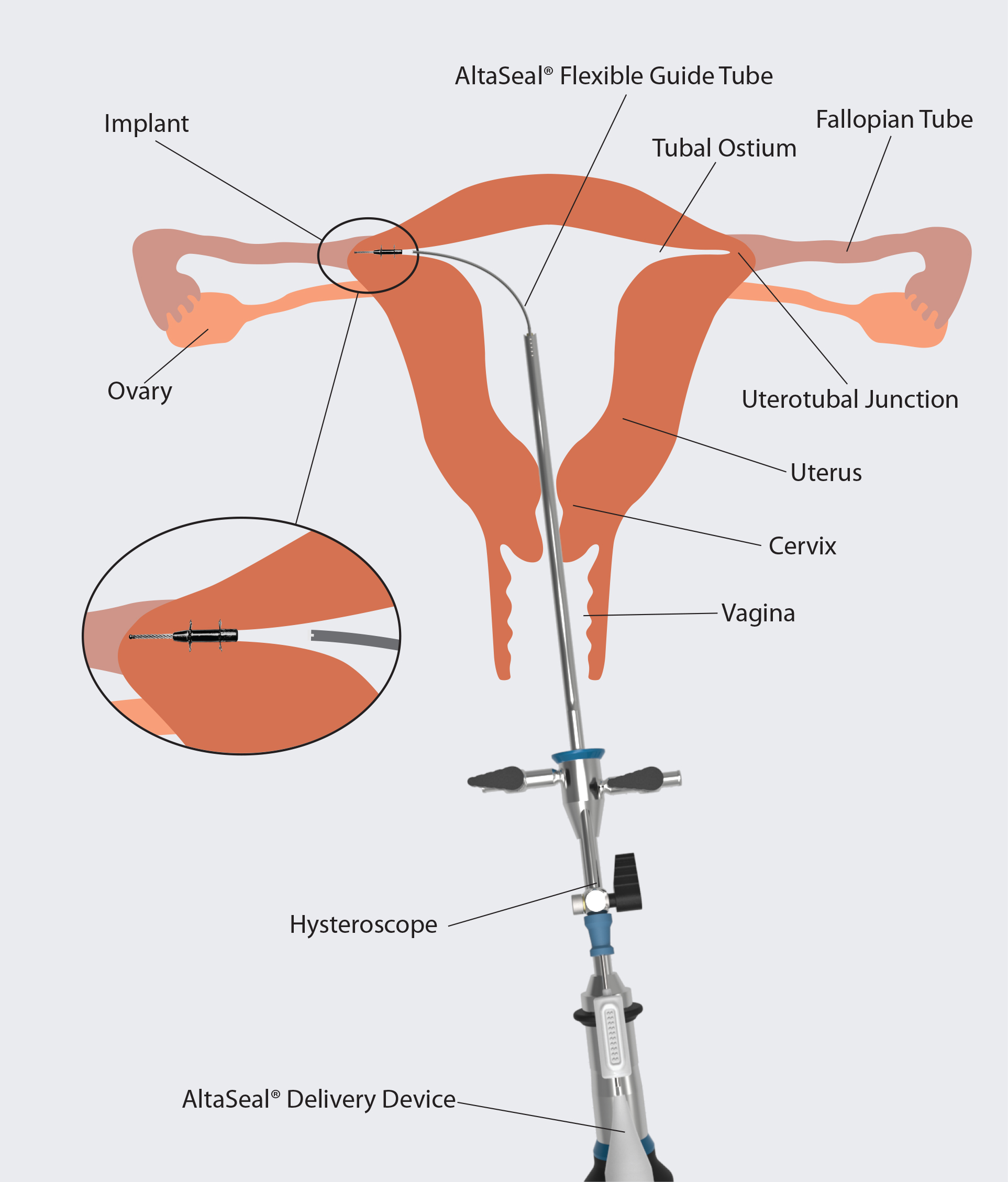 Home [www.altascience.ie]