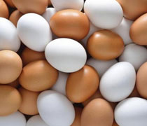 CHICKEN EGGS