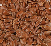 OIL SEEDS