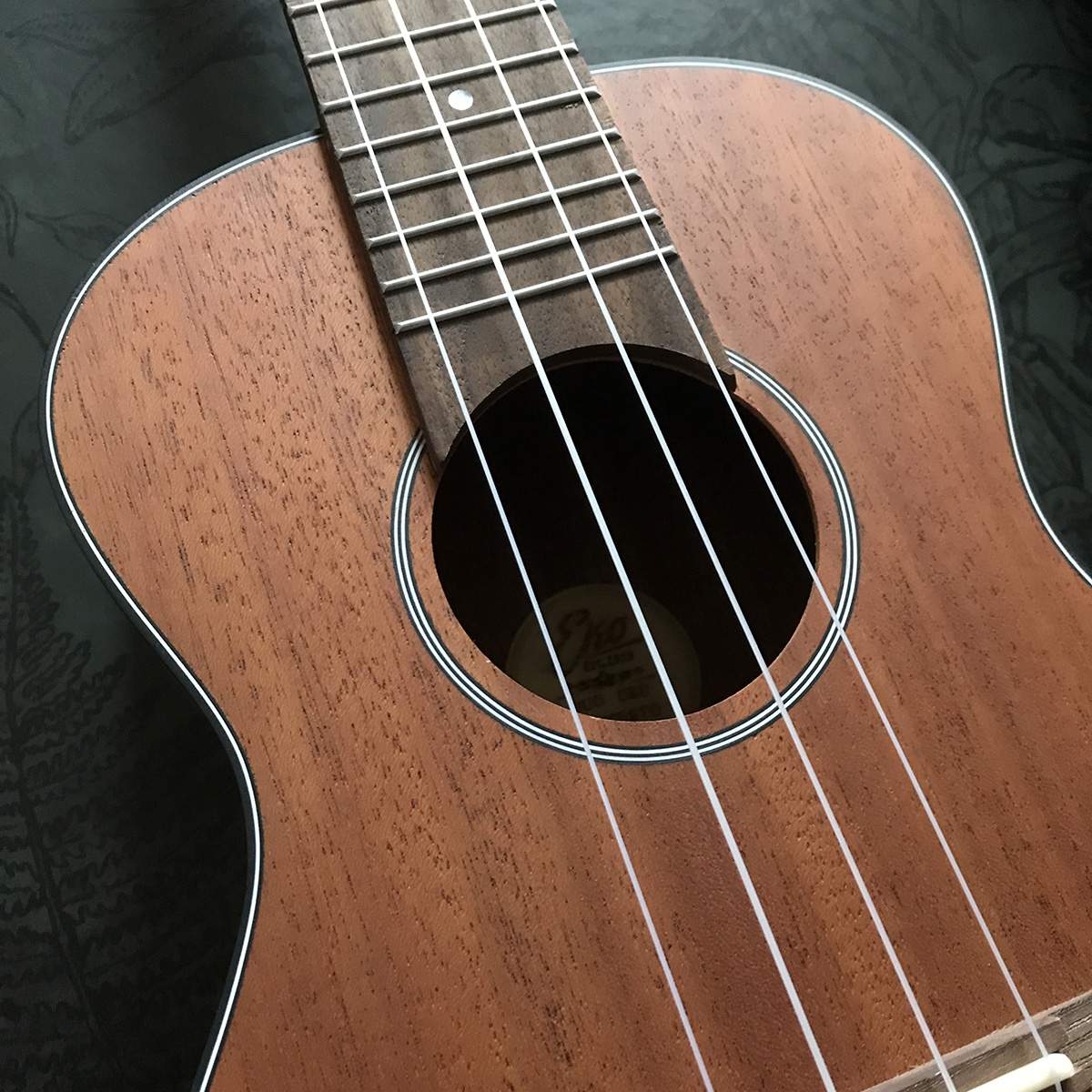 Complete ukulele set