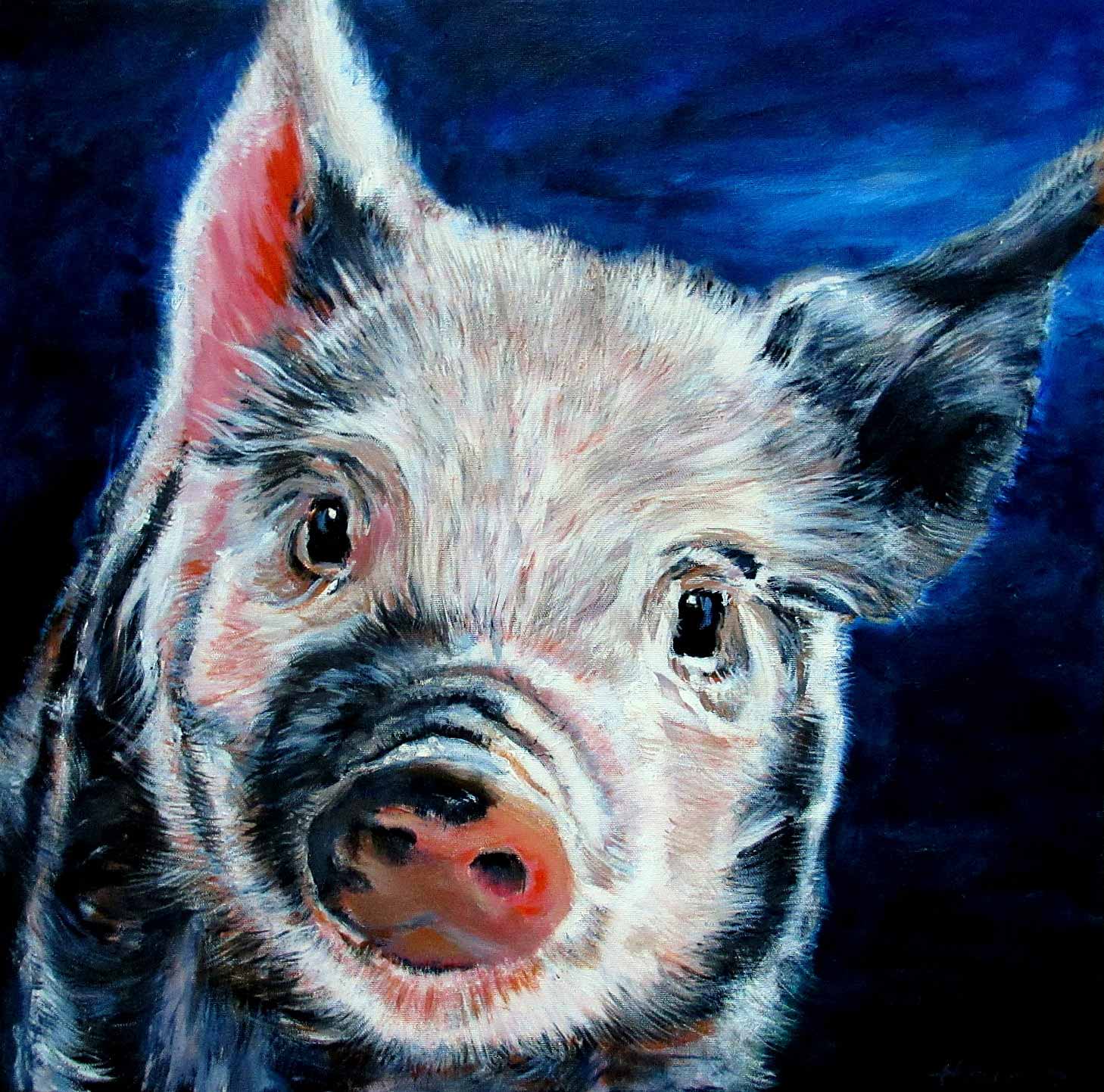 "Pig", 12x12