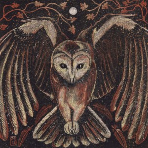 'Tawny Owl'  mounted Print