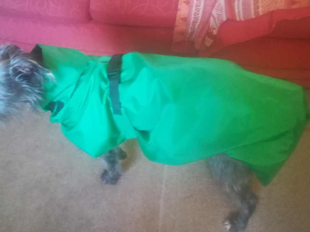 A made-to-measure waterproof, fleece-lined, dog coat