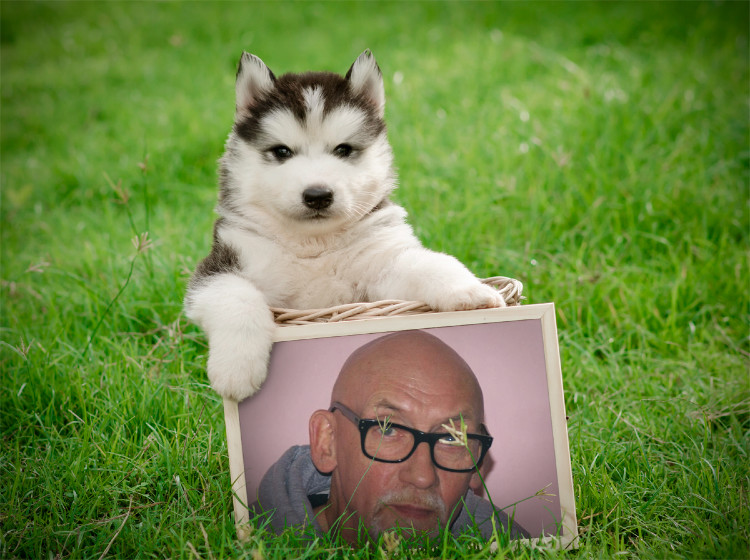 PhotoFunia Puppy with Frame Regular 2018-12-23 05 51 41jpgalbertjpg