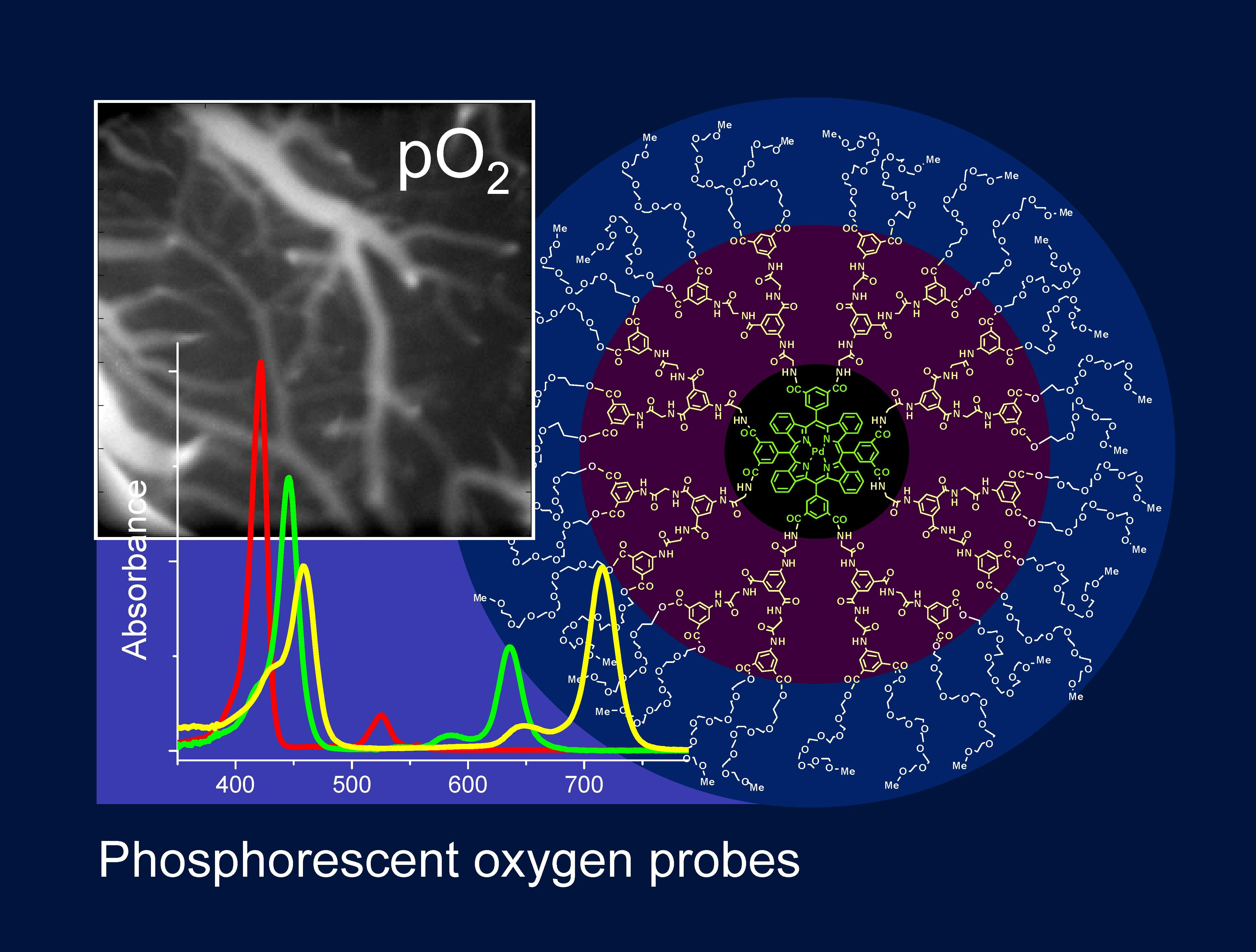Phosphorescent probes for oxygen