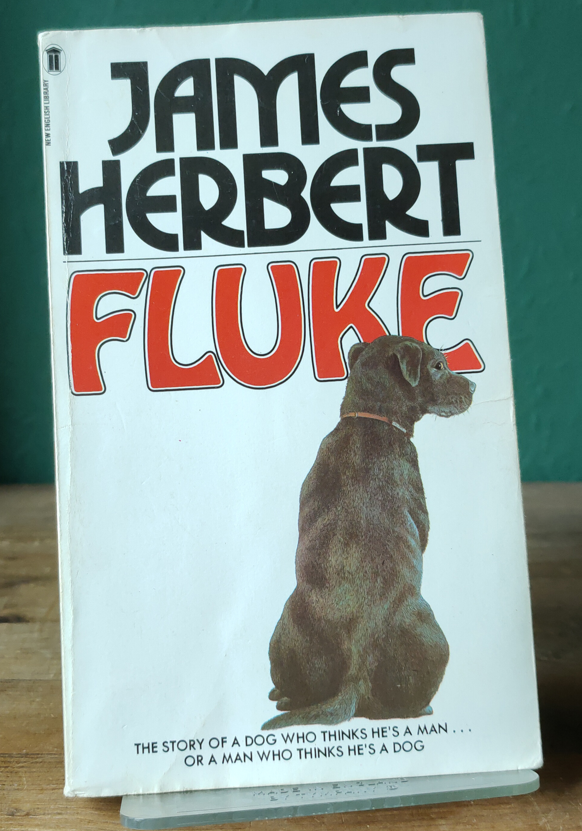 Fluke UK First Paperback