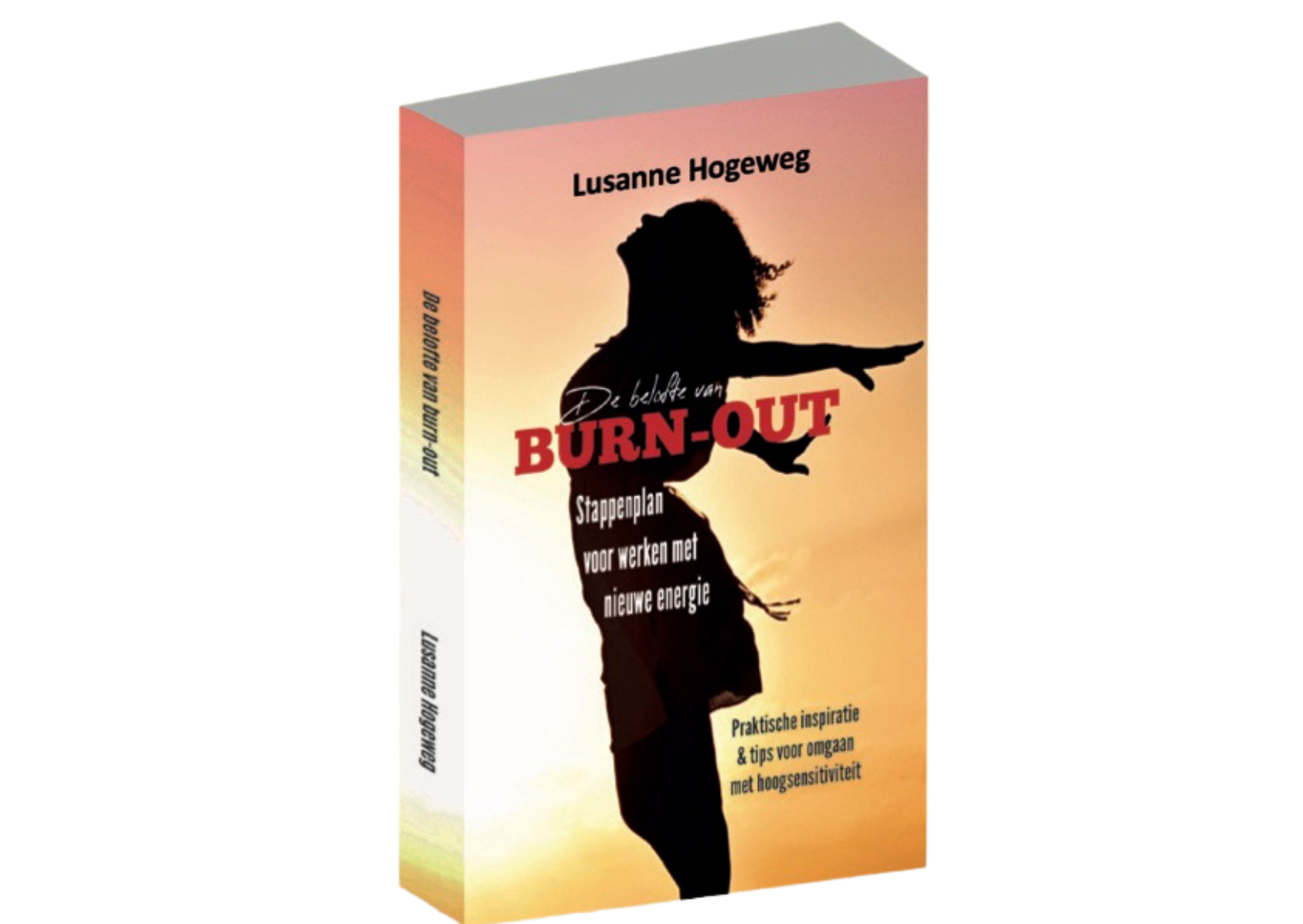 Burn-out boek 3Dpng