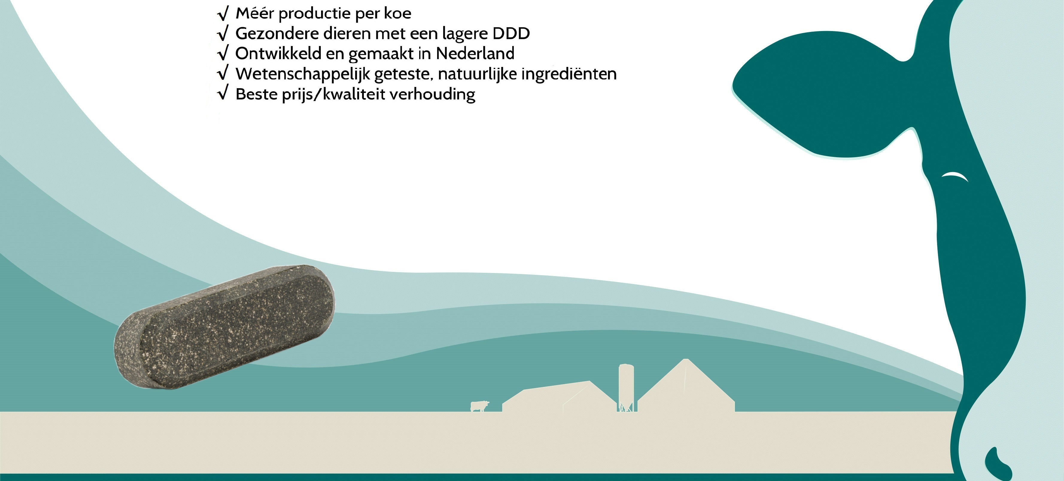 feature-widget afbeelding