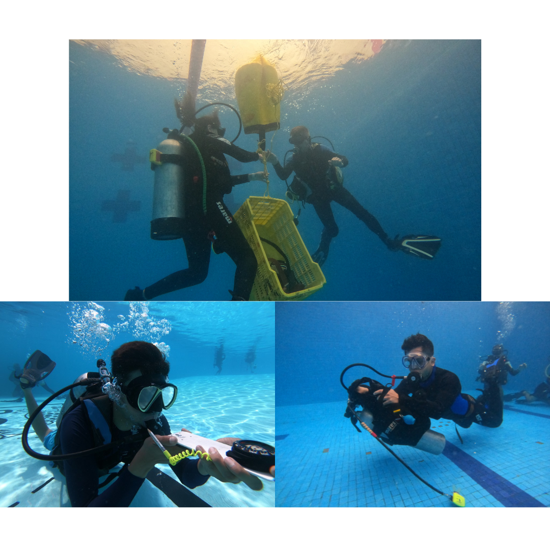 Curso de Buceo Avanzado Avanced Open Water Diver