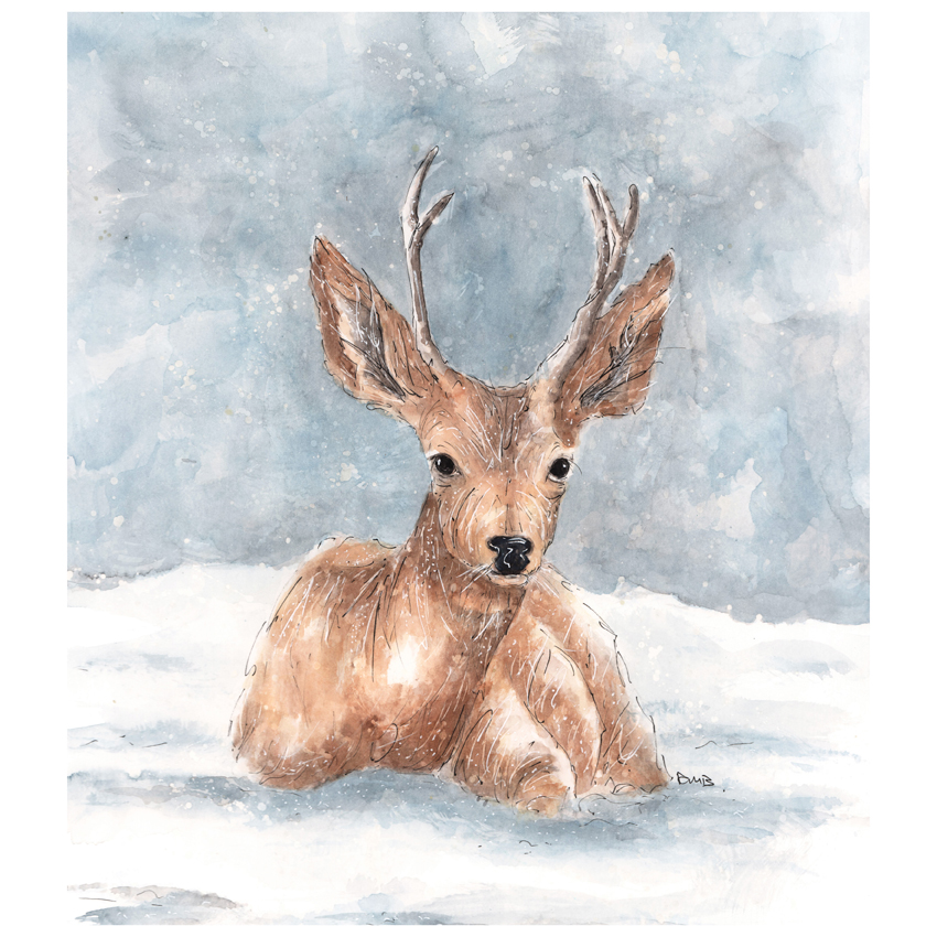 A3 Stag Watercolour Pencil & Ink Illustration