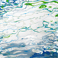 water,ripples,nature,landscape,printclublondon,screen print,printclub,human,predator,prey,hunt,deer,gazelle,camouflage,cat,eagle,mouse