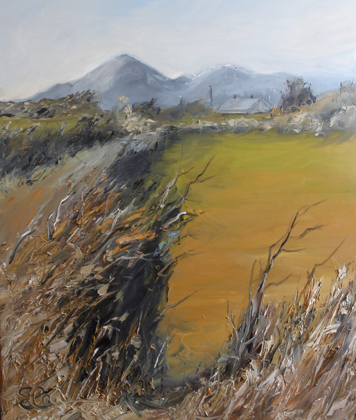 Mourne Mountains, County Down - oil on canvas