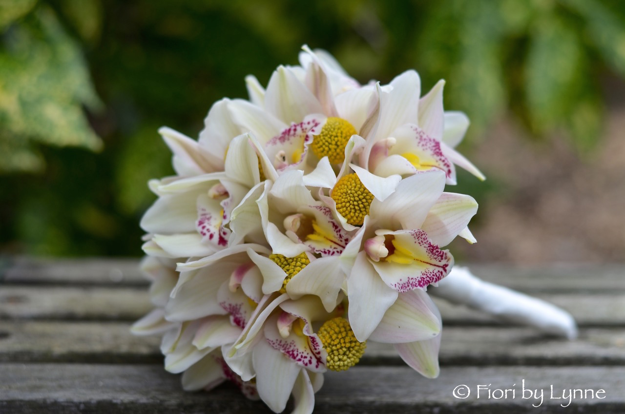 bouquet.cymbidium.orchid.white.yellow.craspedia.jpg