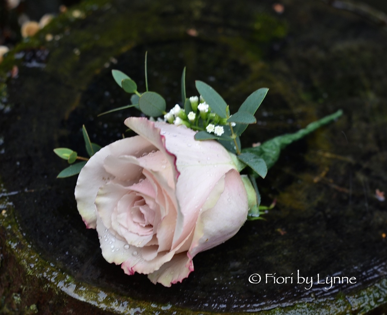 buttonhole-antique-pink-roseeucalyptus.jpg