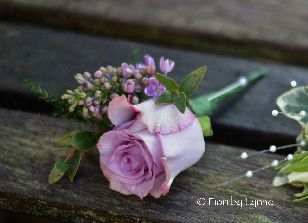 buttonhole-dolcetto-roselilac-mauve.jpg