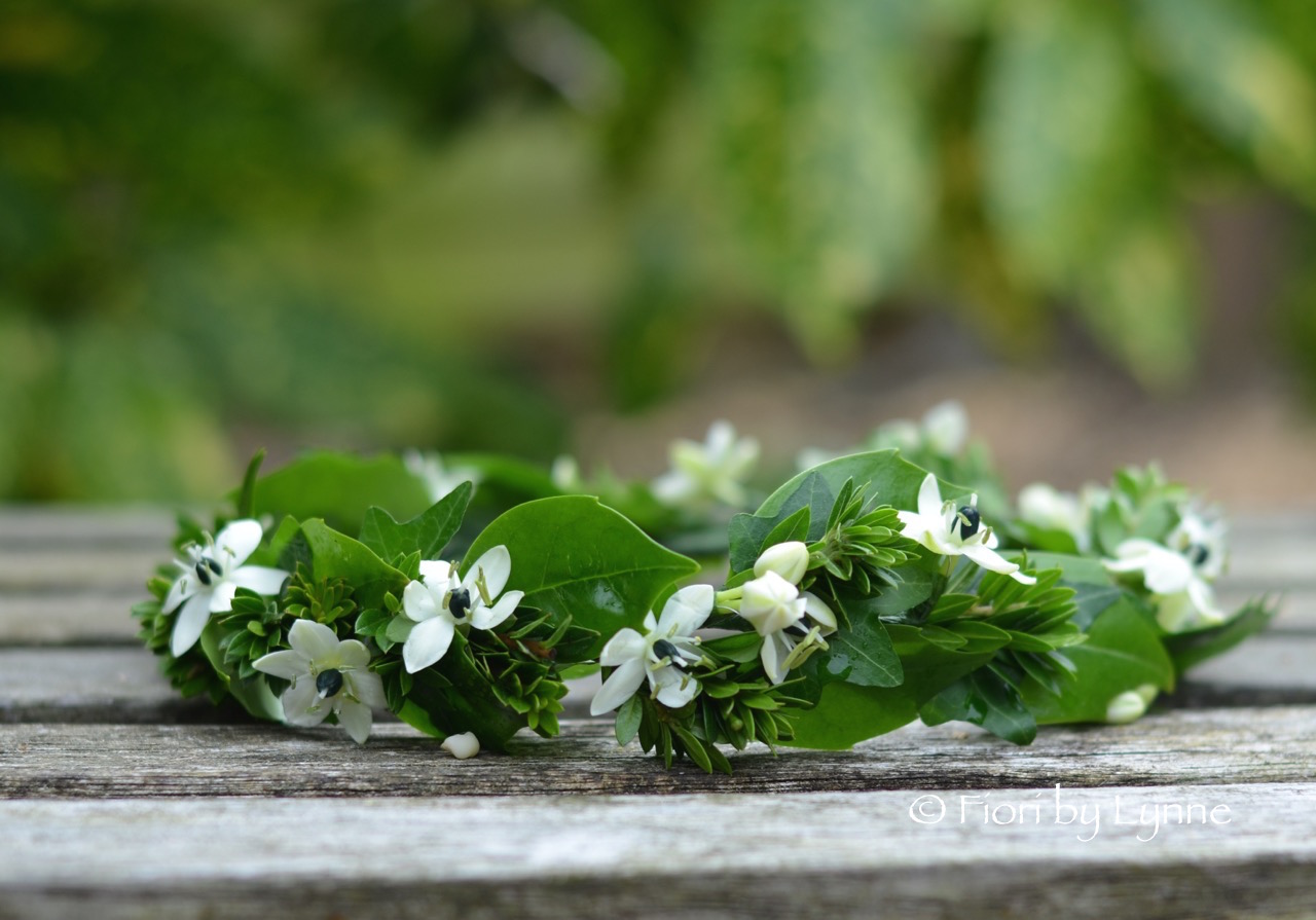 circlet-foliage-ornithogalum.jpg