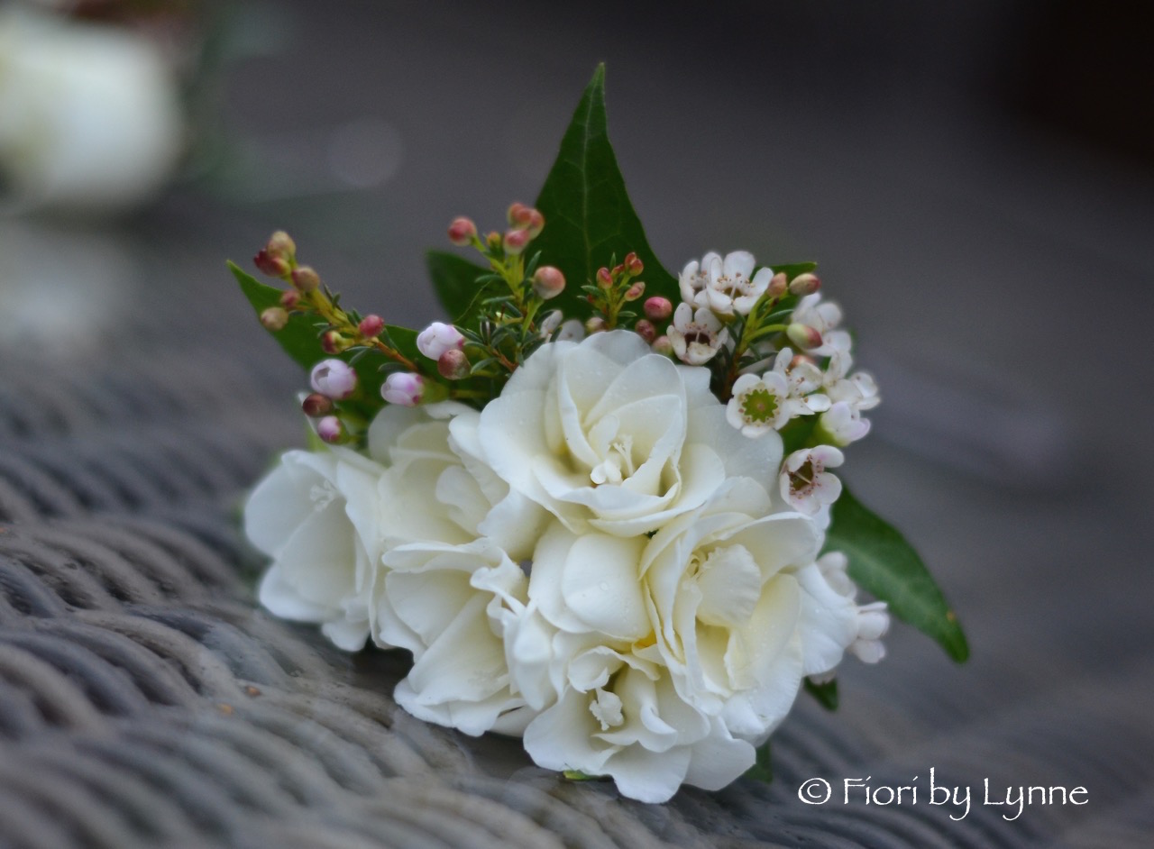 corsage-winter-freesia-waxflower-ivy.jpg