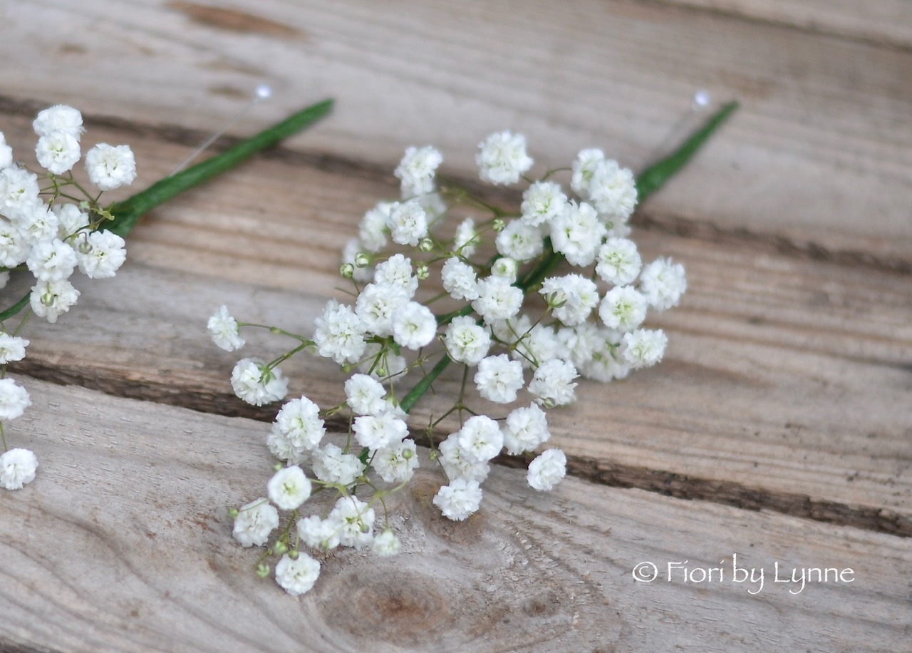 gypsophilabuttonhole.jpg