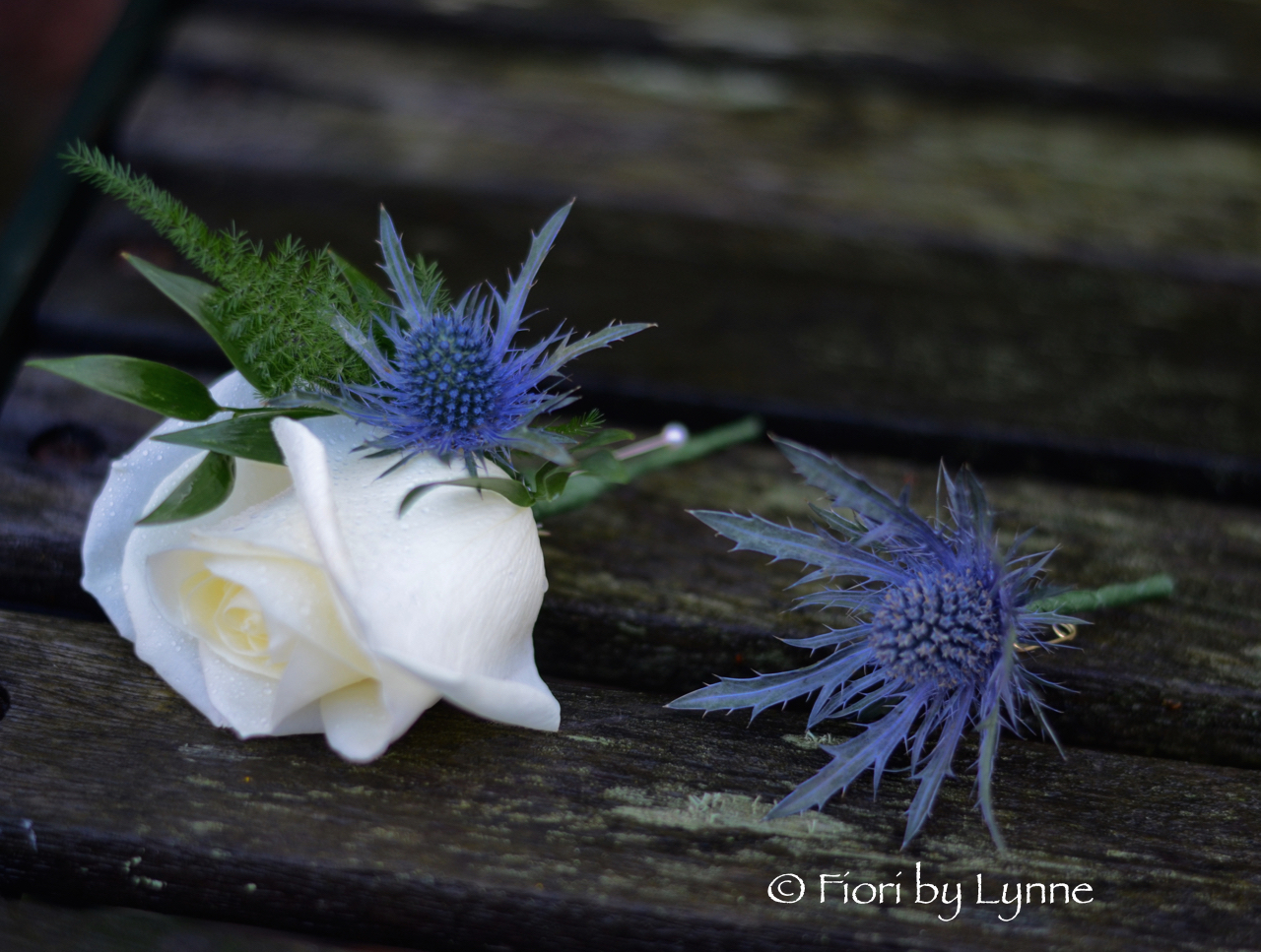 rosethistle-buttonhole-classic1.jpg