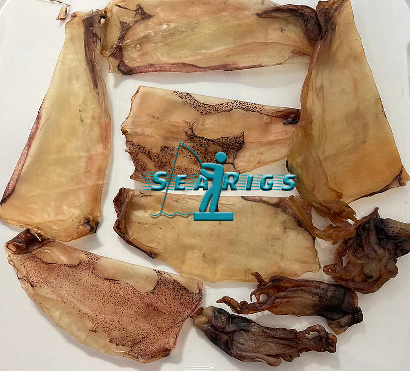 PRESERVED BLACK LUGWORM + DIRTY SQUID + NATURAL HYDRATION SPRAY