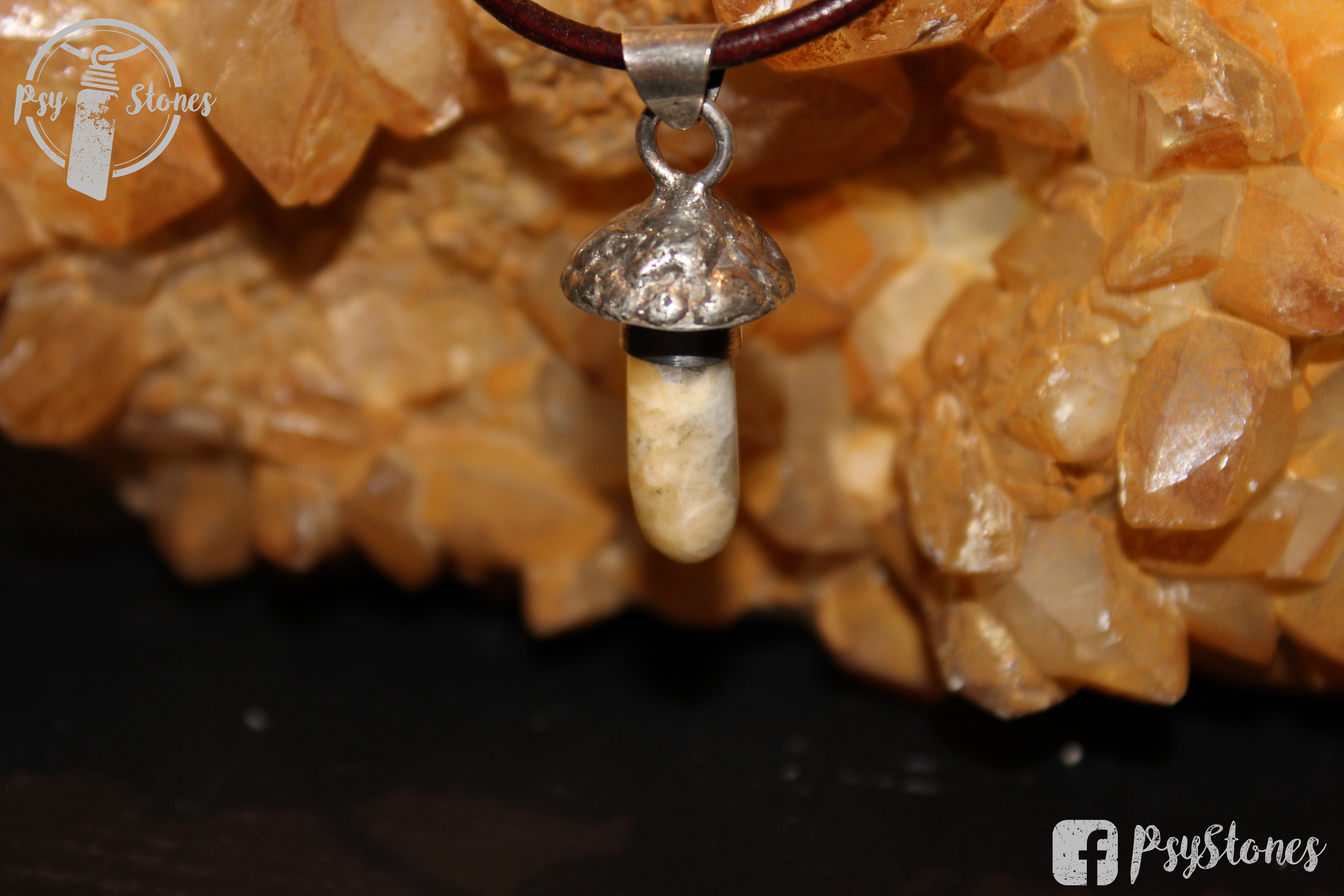 Fluorescent Mushroom with Wernerite stem - WE003