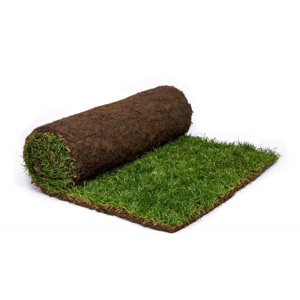 rolawn-medallion-turf-1m-rolls-x-40-p1044-45005_imagejpg