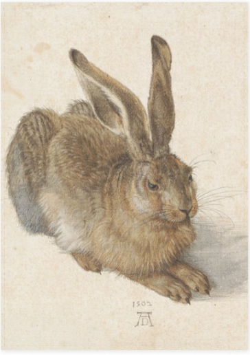 Theedoek, HAAS van Albrecht Dürer