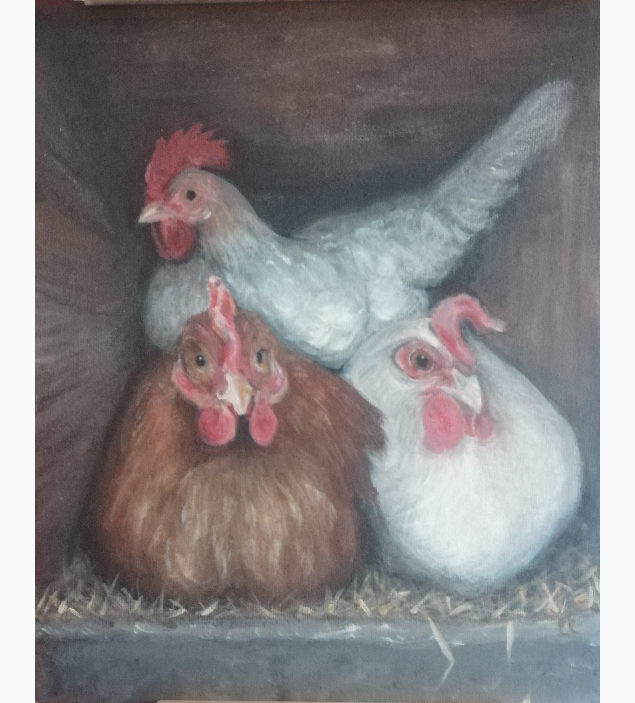 Cooped Up: A Stack of Three Chickens